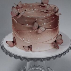 Choco butterfly cake