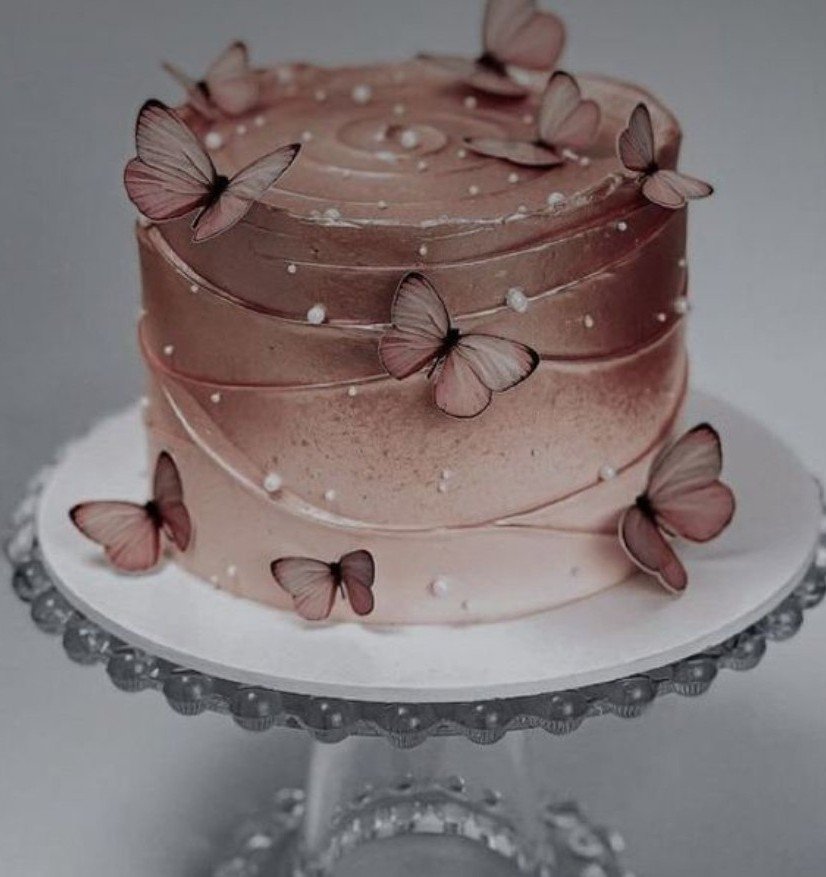 Choco butterfly cake